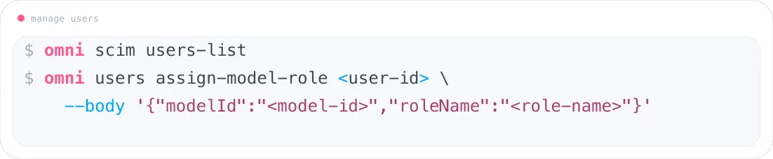 Manage users and model roles with the Omni CLI