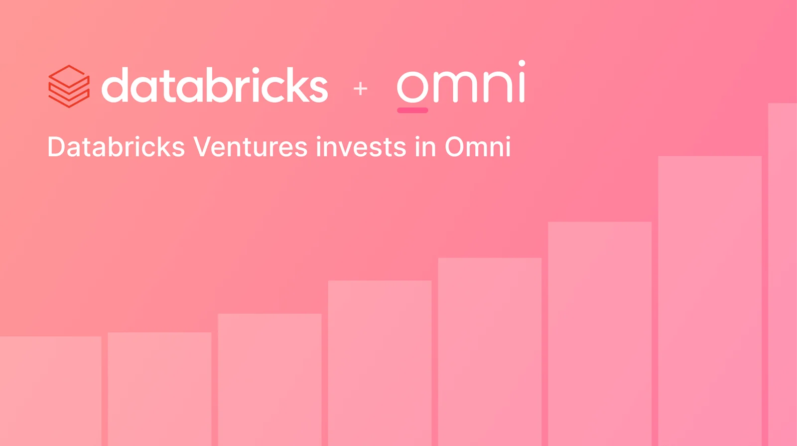 omni-databricks-hero