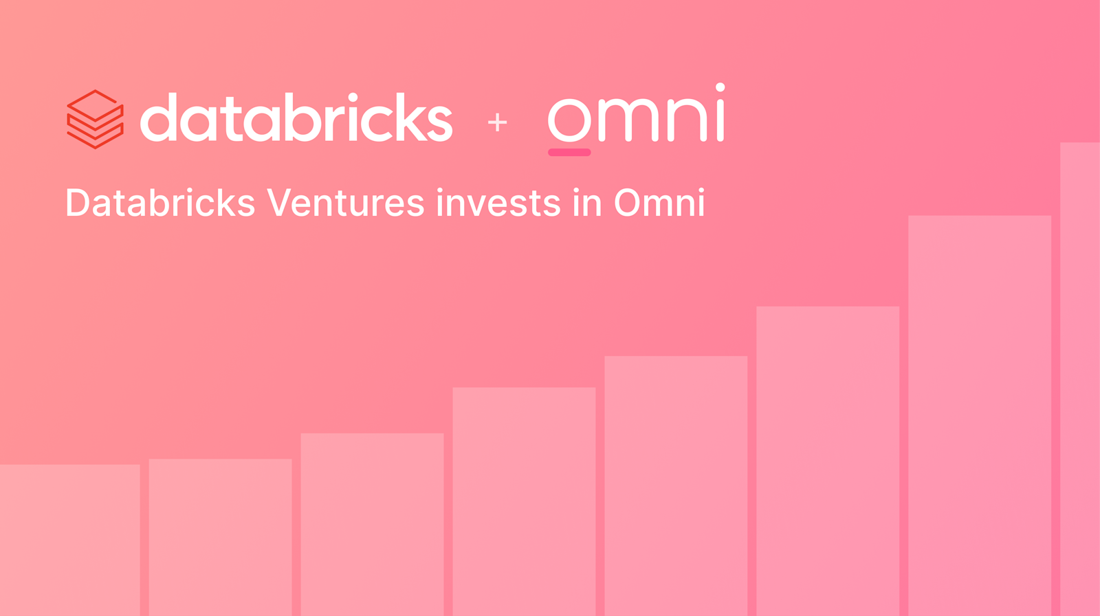 omni-databricks-hero